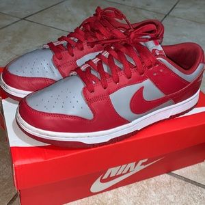UNLV DUNKS